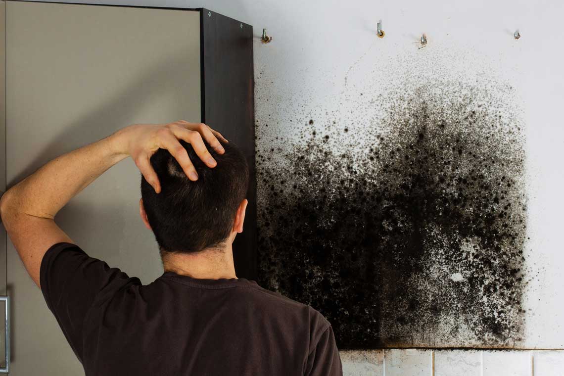 Mold Removal Lake Zurich