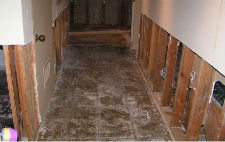 Carpet Cleaning water damage restoration Algonquin