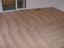 Carpet Cleaning glenview