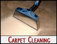 Carpet Cleaning