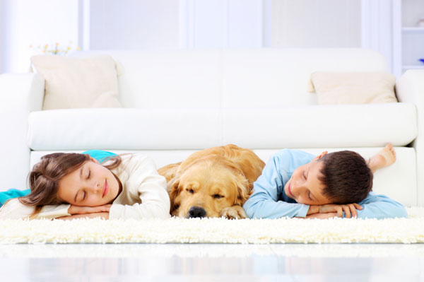 Tanin Carpet Cleaning Northbrook
