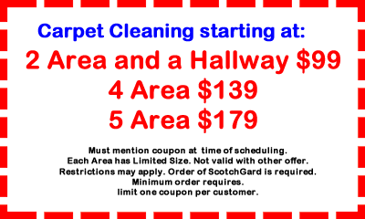 Tanin Carpet Cleaning Northbrook