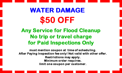 Mold Removal Wilmette