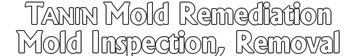 Tanin Mold Removal